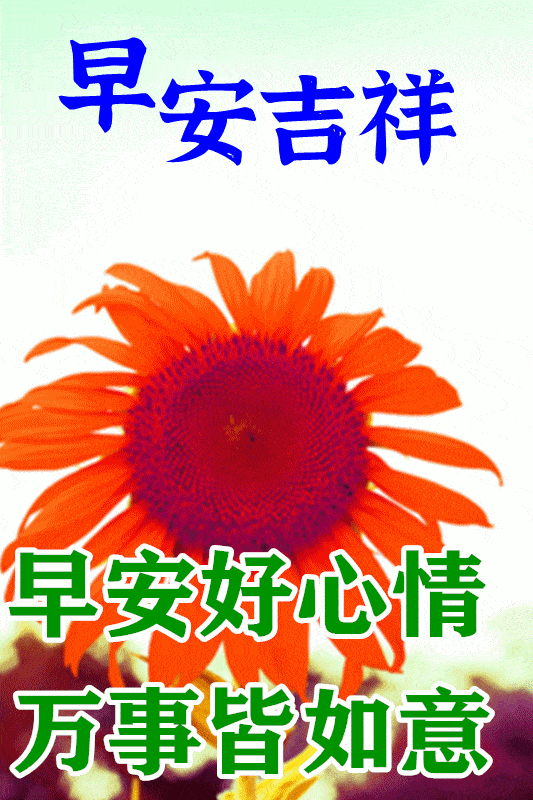 4月8日最漂亮早上好动态表情图片大全早晨好动图美图大全