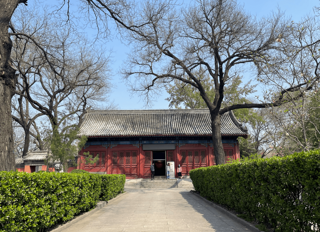 除了花开还有这场难得的展览北京报国寺你啦