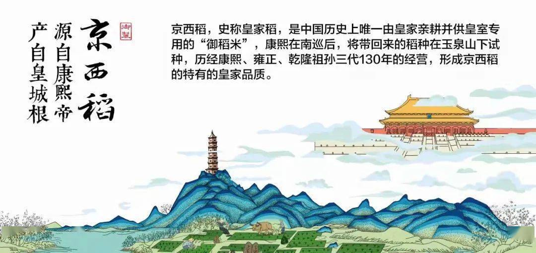 京西稻还有哪些优良的属性才能让这个品种延续350年的历史呢?