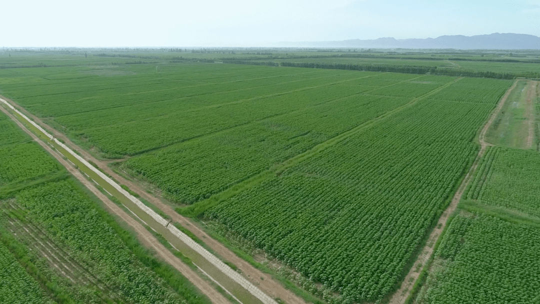 旗县动态突泉县宁城县巴林右旗商都县五原县乌拉盖管理区准格尔旗