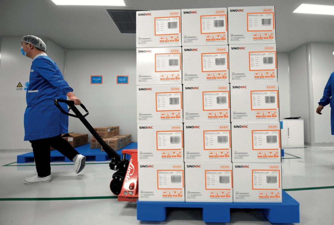 医药冷链第三方物流企业在竞合中成长|热文回顾_药品_运作_领域