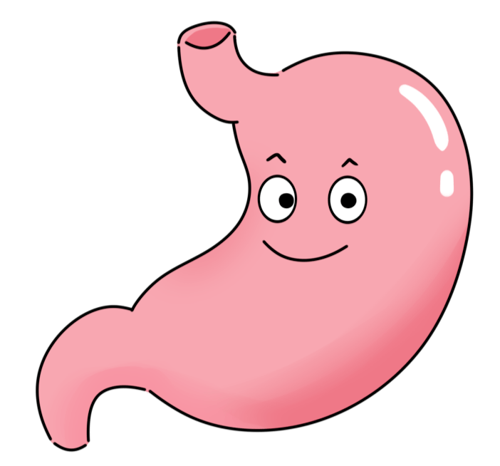 国际护胃日 | "胃"爱守护,让"胃"来更美好_运动_补充_胃肠