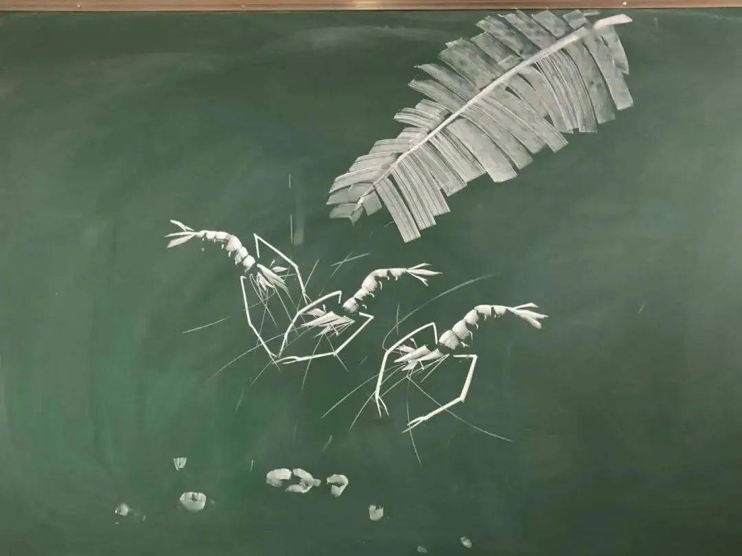 乡村教师用粉笔画出裸眼3d网友直呼神笔马良
