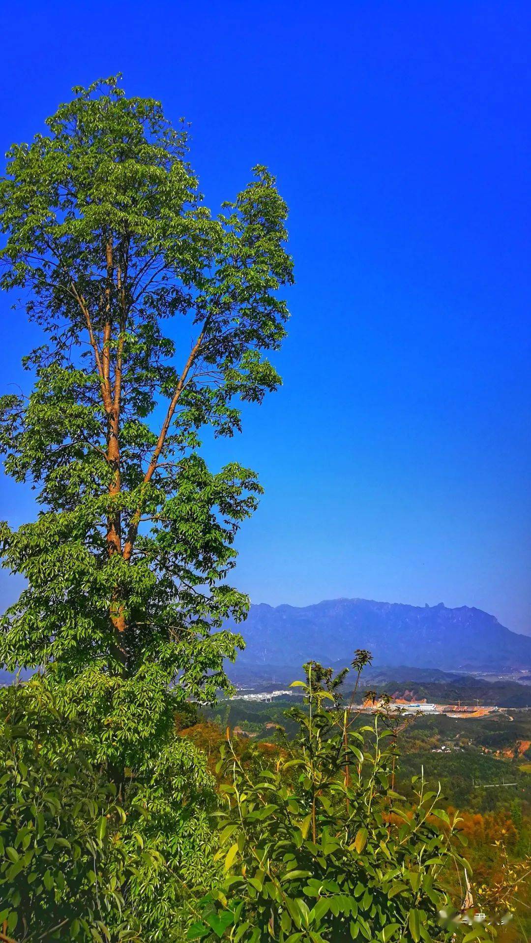 记录光泽重游天明山