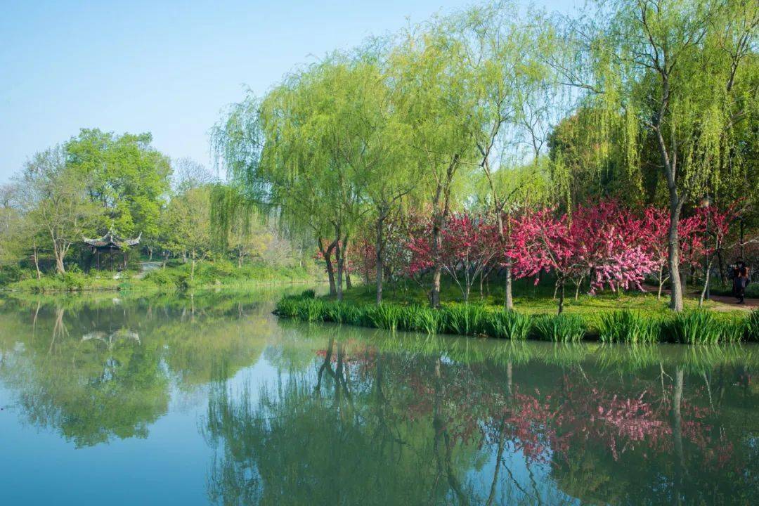 扬州谢公园图片
