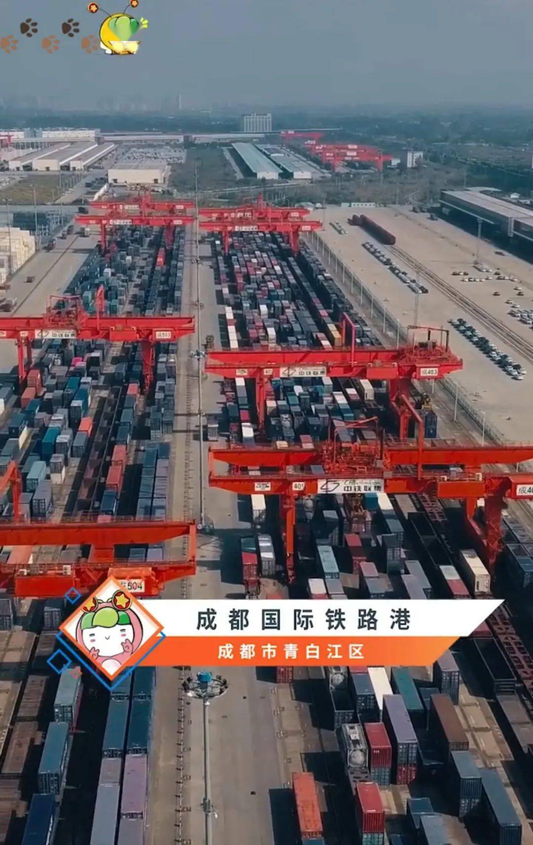 构建人类命运共同体团中央青年大学习走进现代化国际化青白江