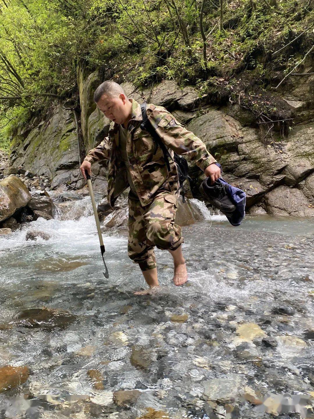 从"伐木工"到"最美巡护员",他用心用情守护大熊猫"爱情走廊"_周红林