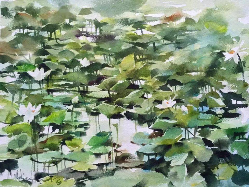 水彩画夏日荷塘清新自然