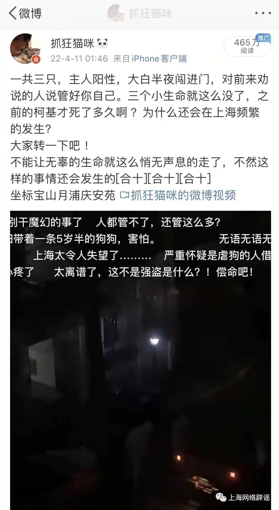 上海再次辟谣，警方已介入