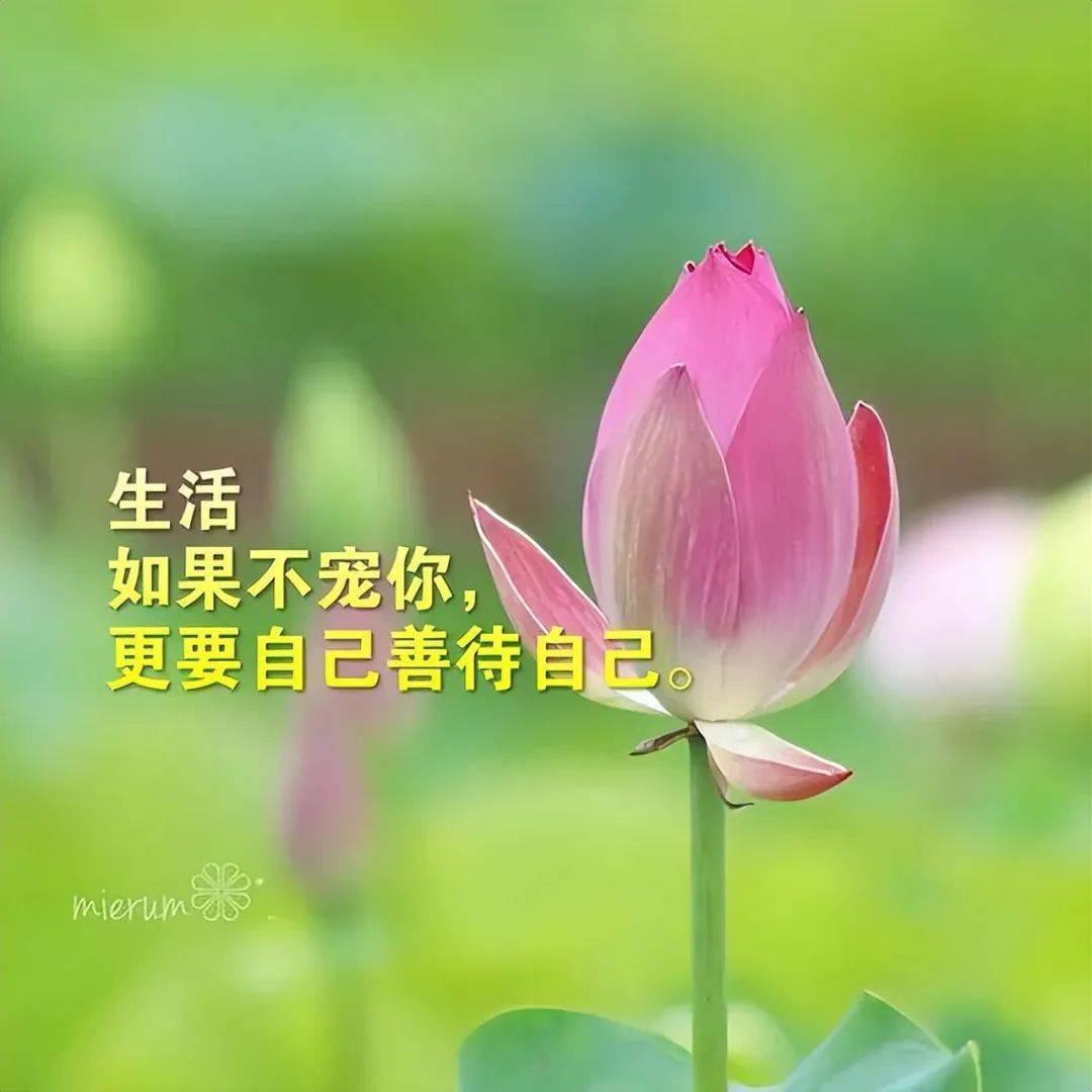 选择倾听内心的呼唤,才能拥有最饱满的人生_生活_心灵_风景