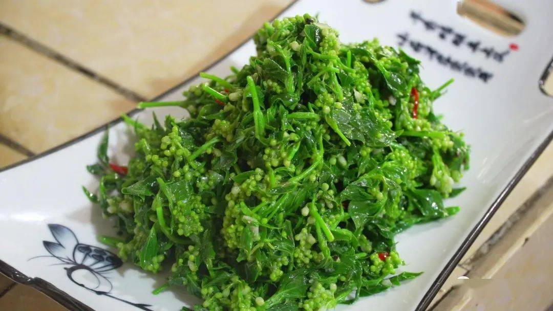 印象庐江百花村的百花菜