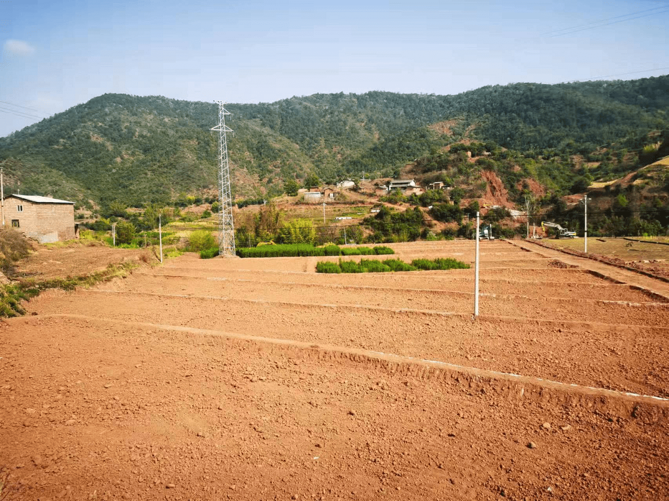 双柏县:高标准农田建设让"粮田"变"良田"_大庄镇_种植_烤烟