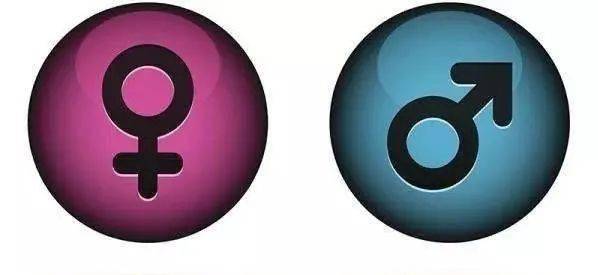 含有2个相同的性染色体,记作xx;雄性的体细胞中则含有2个异型性染色体