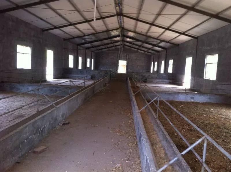 羊舍内设计食槽,距地面50厘米,高30厘米,宽60厘米,内深20厘米.