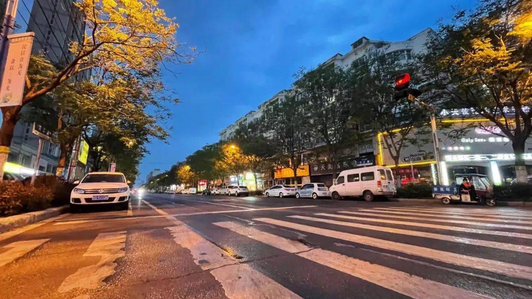 疫情下的空城……_城市_街道_網友