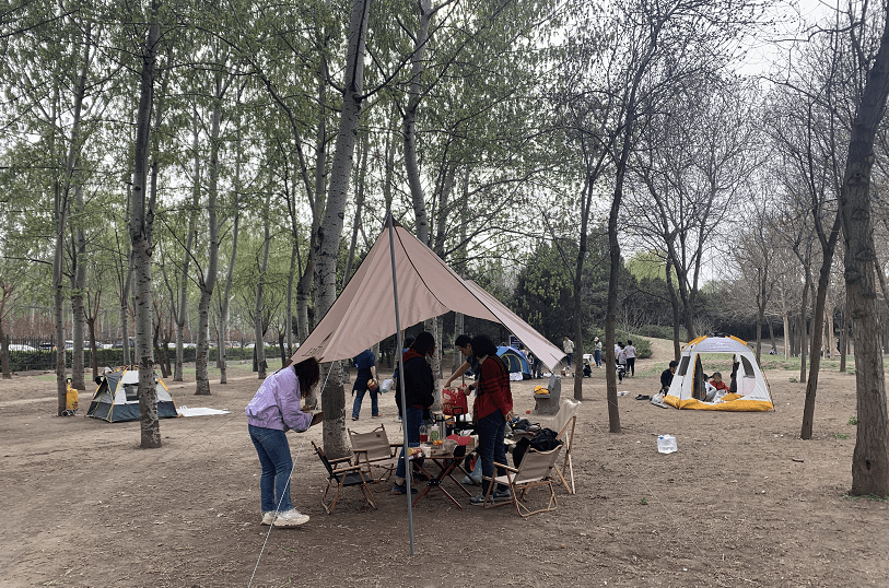 市内难寻场地,郊野公园"一位难求",北京哪儿能搭帐篷?