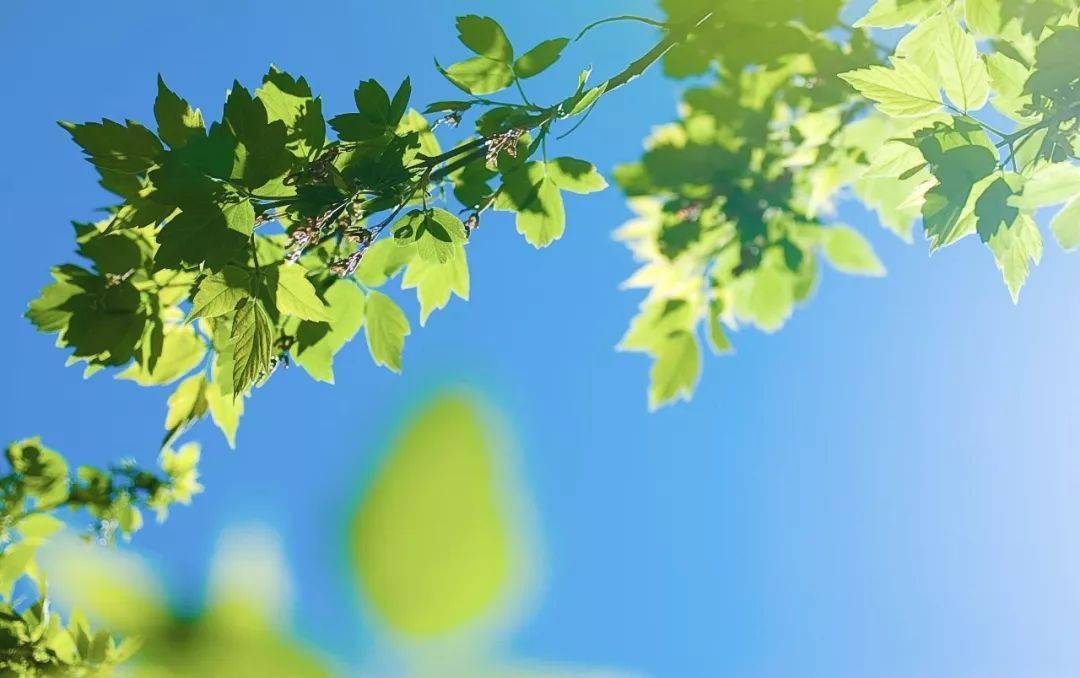 平淡简单生活最真淡然处世日子最美