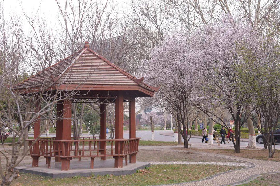 新乡学院 风景图片