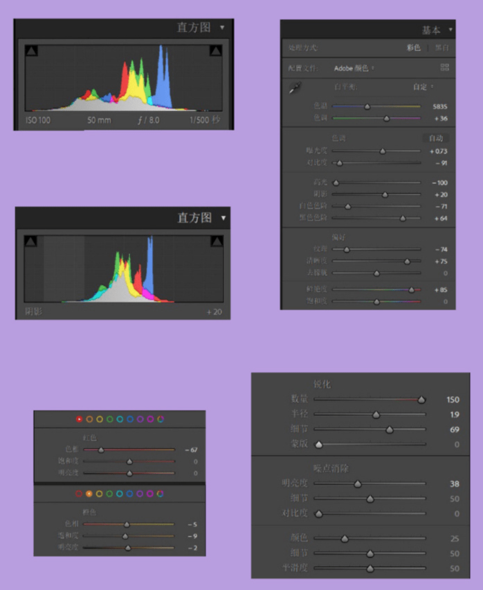 9款lr万能调色公式一次性get