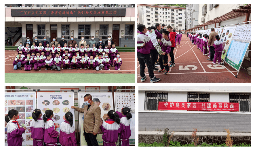 佛坪县城关小学图片