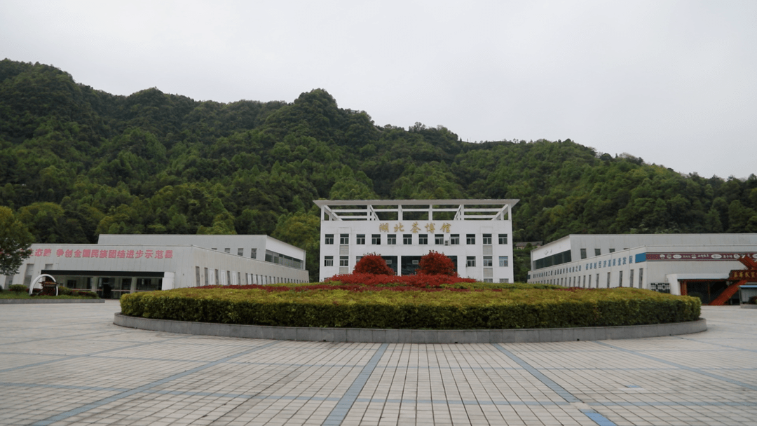 文章配图-9