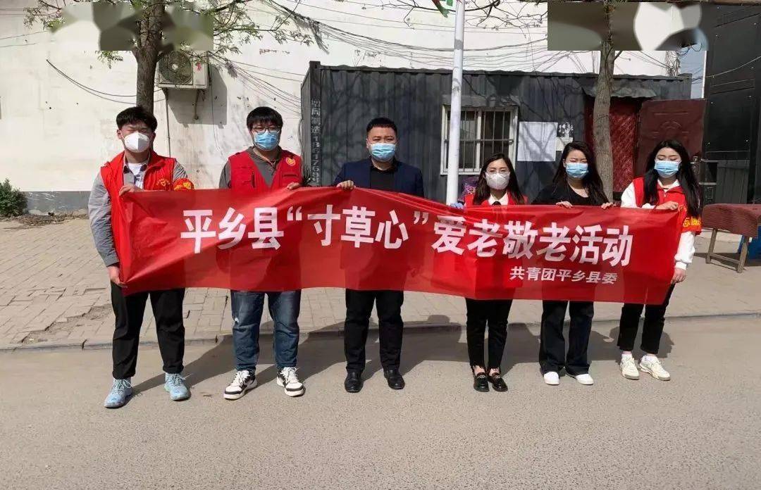 团平乡县委 | 组织开展寸草心爱老敬老志愿服务活动_老人_青年_疫情