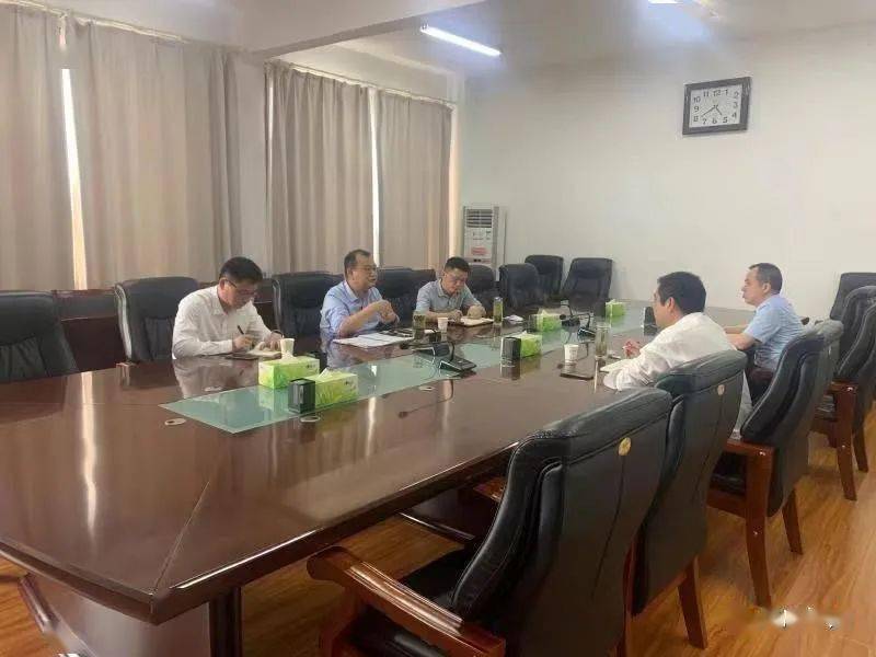 常务副市长桂稳成参加反馈会,桐城市委常委,桐城经开区管委会主任刘刚