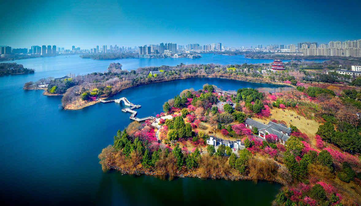 摄影欣赏:《春色》_黄冈_来源_春色