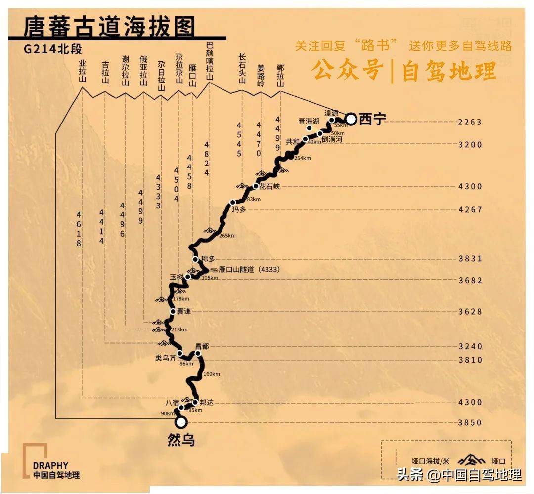 219海拔图图片