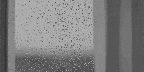 这个春夜有雨敲窗