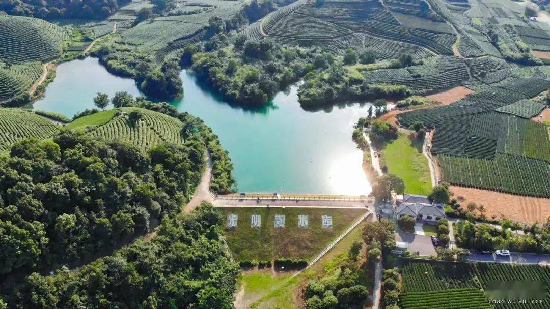 氛围感拉满龙坞茶镇这些宝藏打卡地春天一秒入画出圈又出片