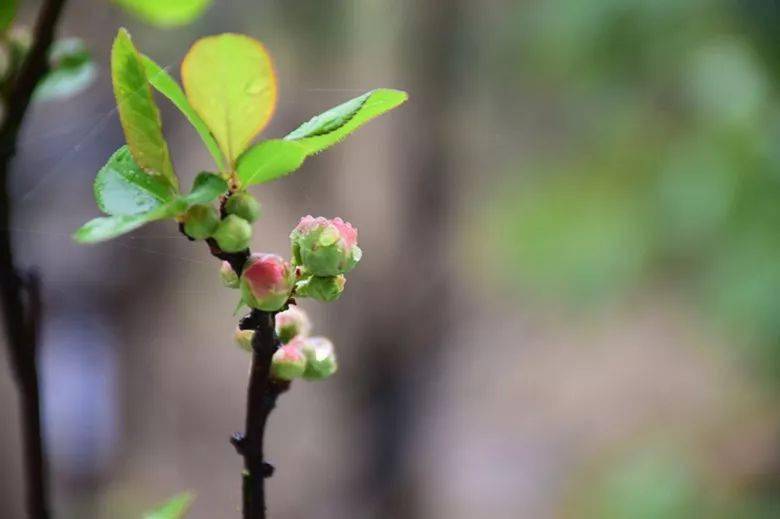 做个内心平和的人 说大话与成大事 看花容易绣花难 明白与糊涂 林清平 人生 劣迹