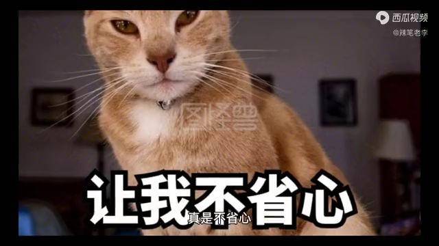 真是不省心杜妈给女儿洗头网友智障姐夫不会吗