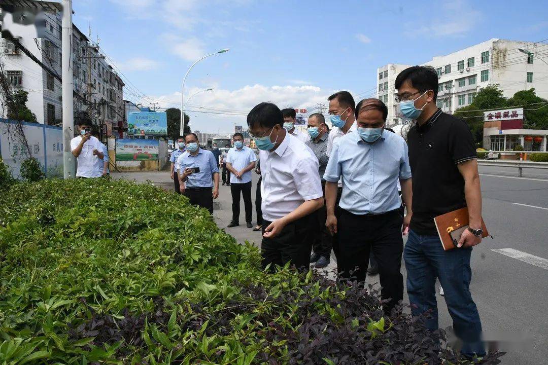 文明创建 | 荔城区委书记督导常态化文明城市创建工作_福清_西天尾镇