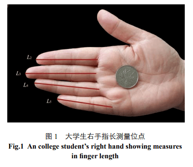 手指长度与新冠重症有关? 网友: 不如说"命中带火"不容易确诊呢.