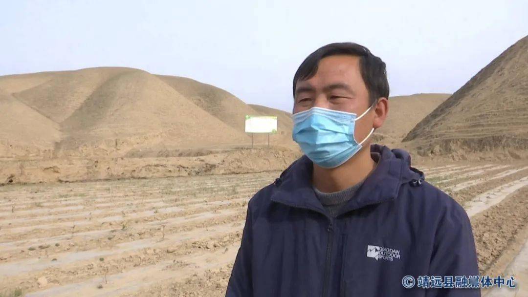 高湾镇撂荒地里趟出增收致富金银路