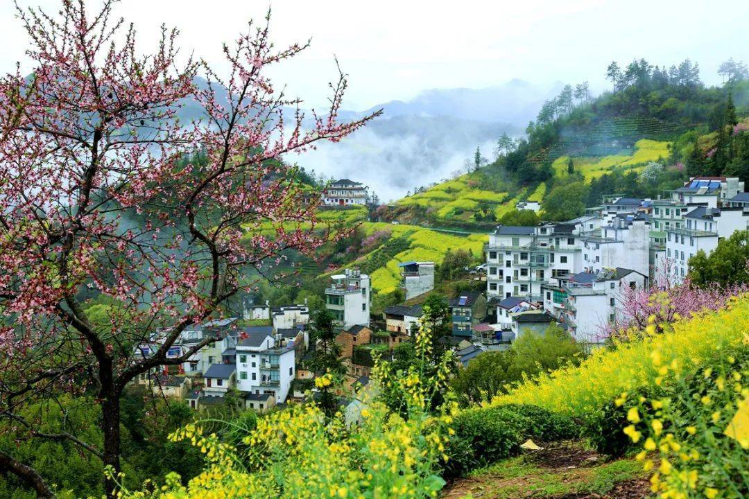 会员佳作刘士斌用摄影让贫困山村走上致富路