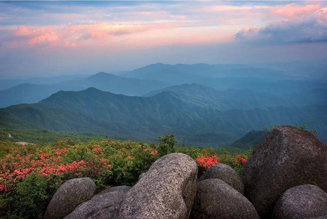 宜丰官山自然保护区图片