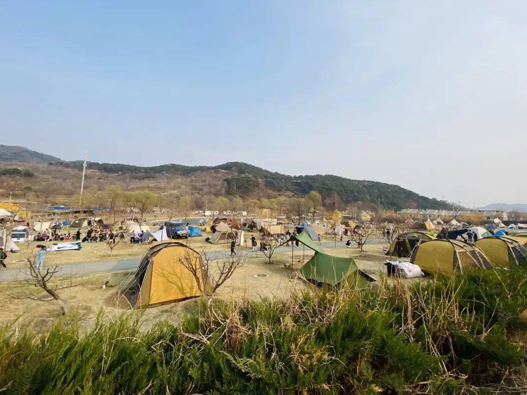 开房车、住营地，郊游掏空我钱包