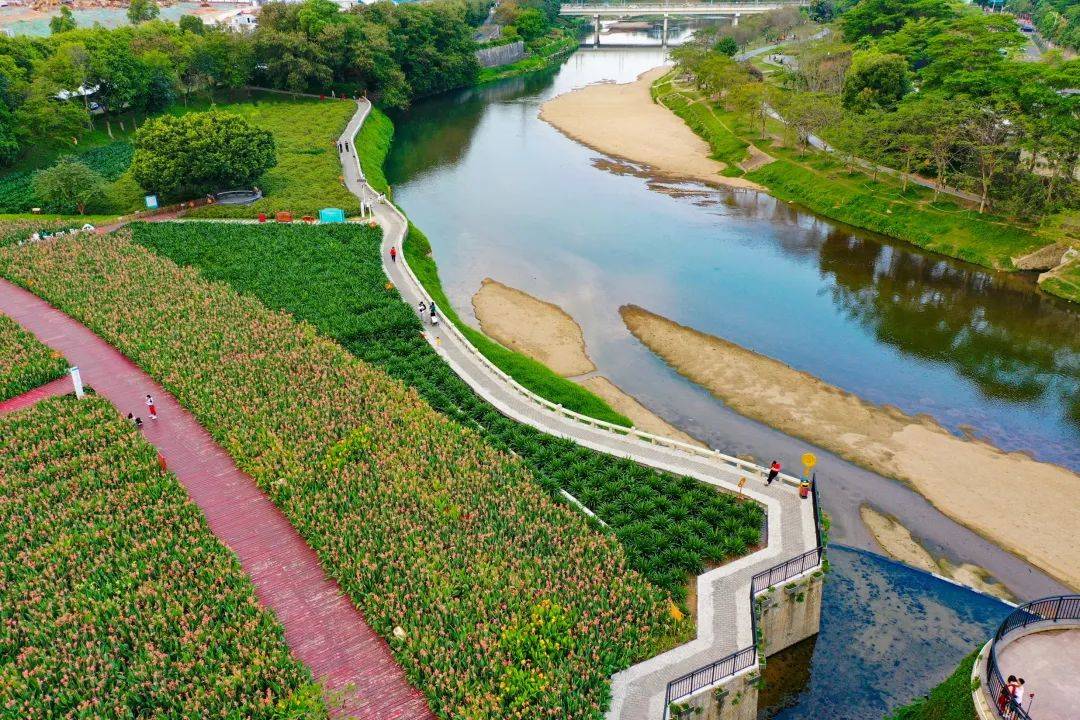 观澜河河道宽,流经区域广,还绕过绝美的湿地公园——观澜河湿地公园.