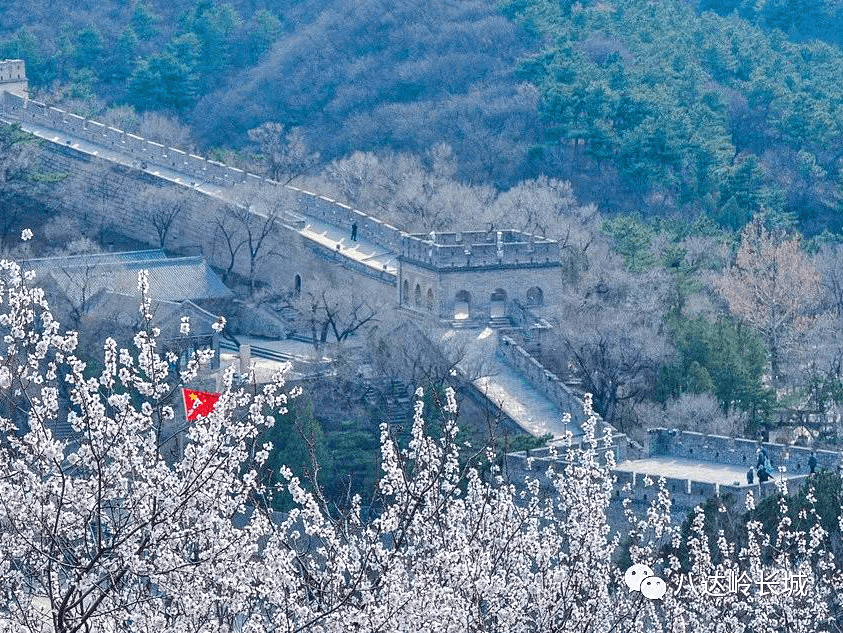 游人都不断北京所有长城中最著名的一段八达岭长城惊艳这个春天八达岭