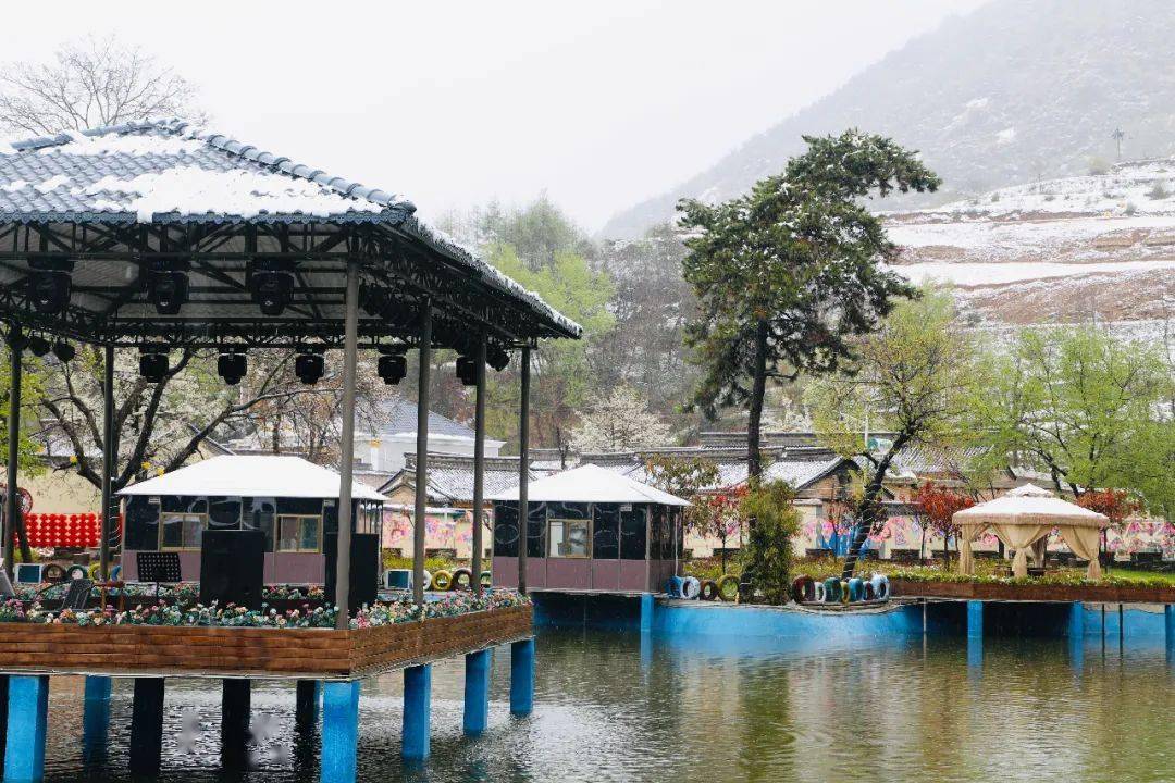 陇南西和县薤韭山下草关春来