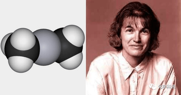 时间回到1996年的八月,wetterhahn正在做有关二甲基汞(一种有机汞)的