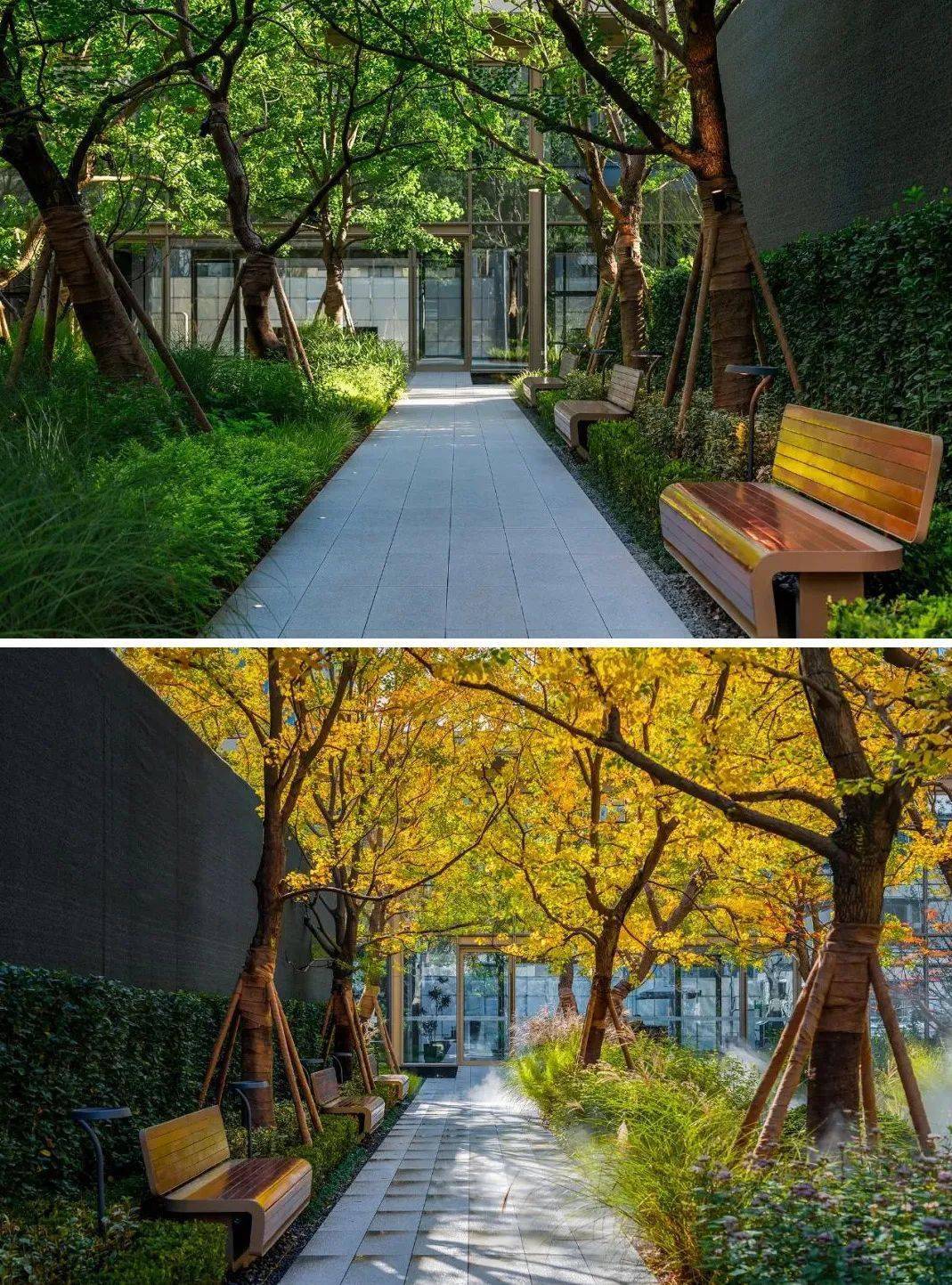 因为组团在整个园区中具有普遍性,具有空间划分,围合,遮荫等功能,是