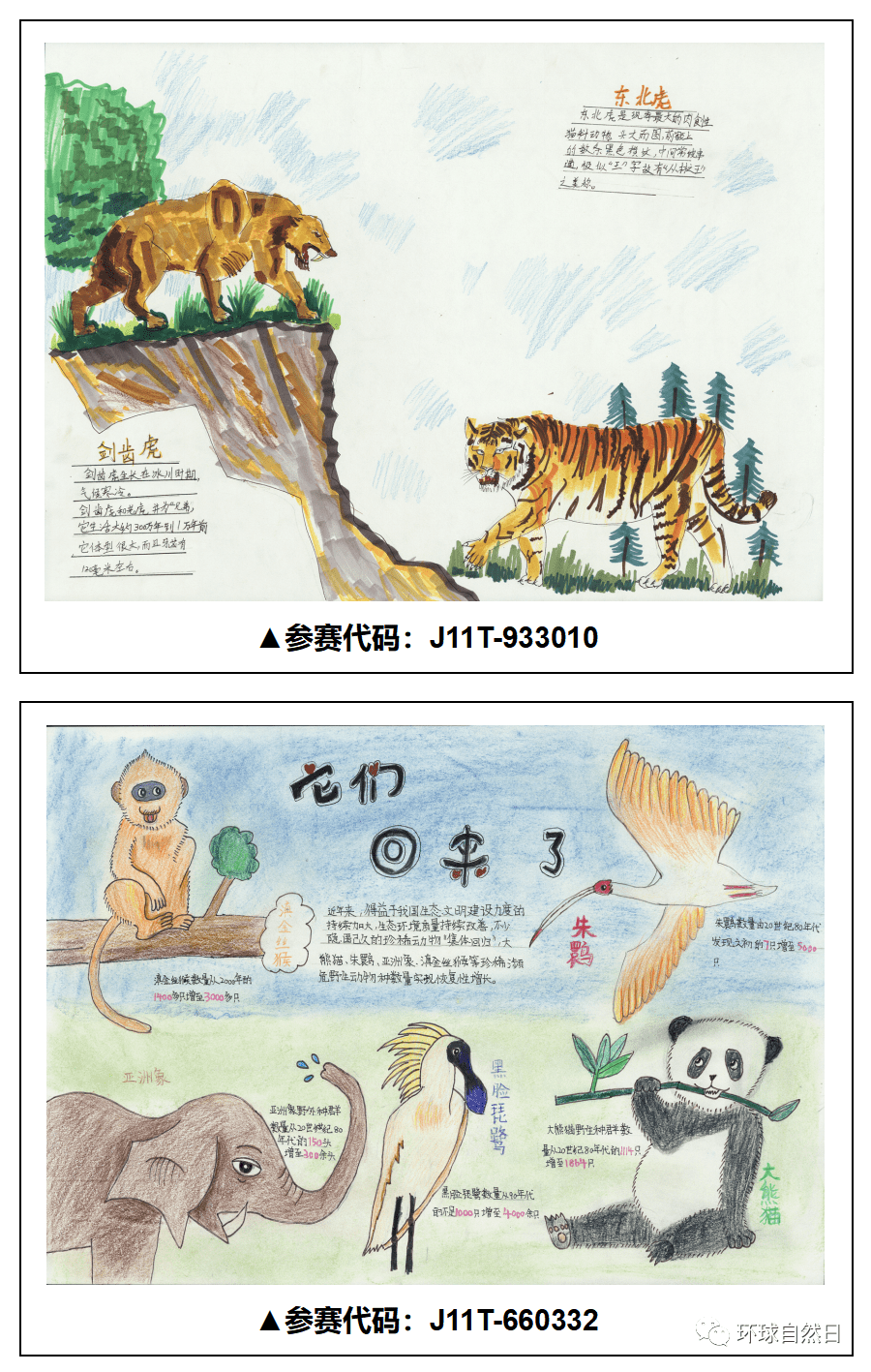 【官宣】环球自然日2021总决赛科普绘画作品赏析