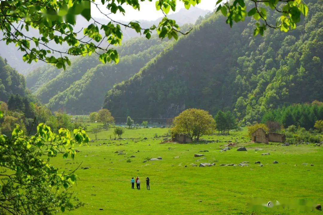 分享照片,视频让你在欣赏美景的同时留坝狮子沟牧场加装了基站好消息!