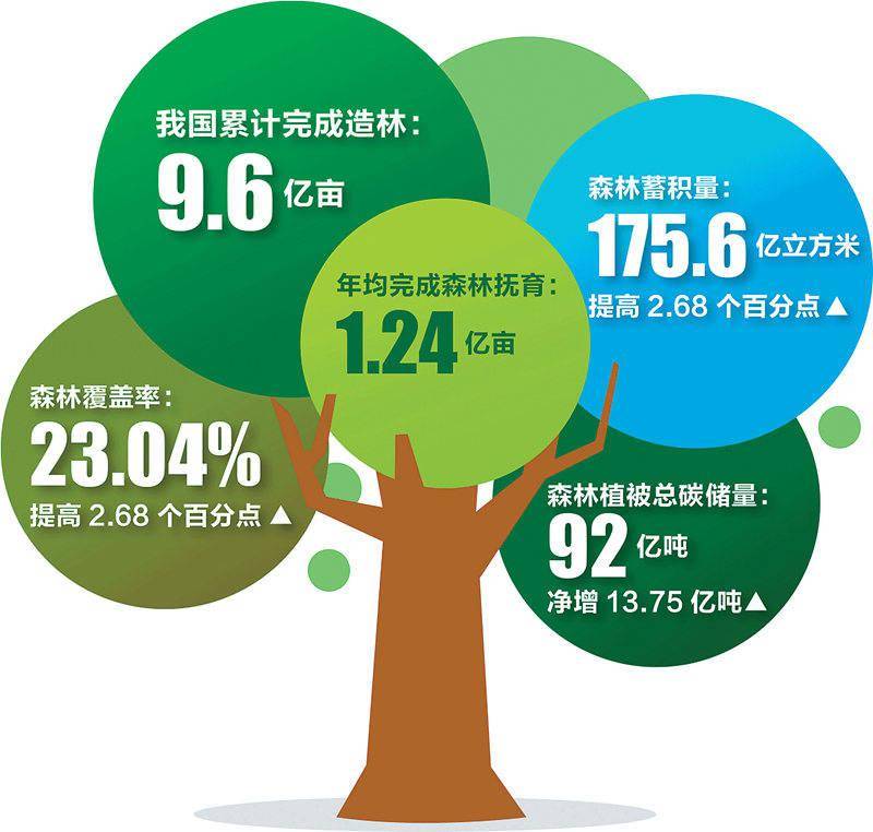 非凡十年看變遷建好森林這座碳儲庫廢棄礦山變身花果山