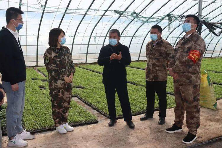 书记,县长刘林松深入北社乡,龙溪镇,玉峡关镇,虹梯关乡,青羊镇等乡镇