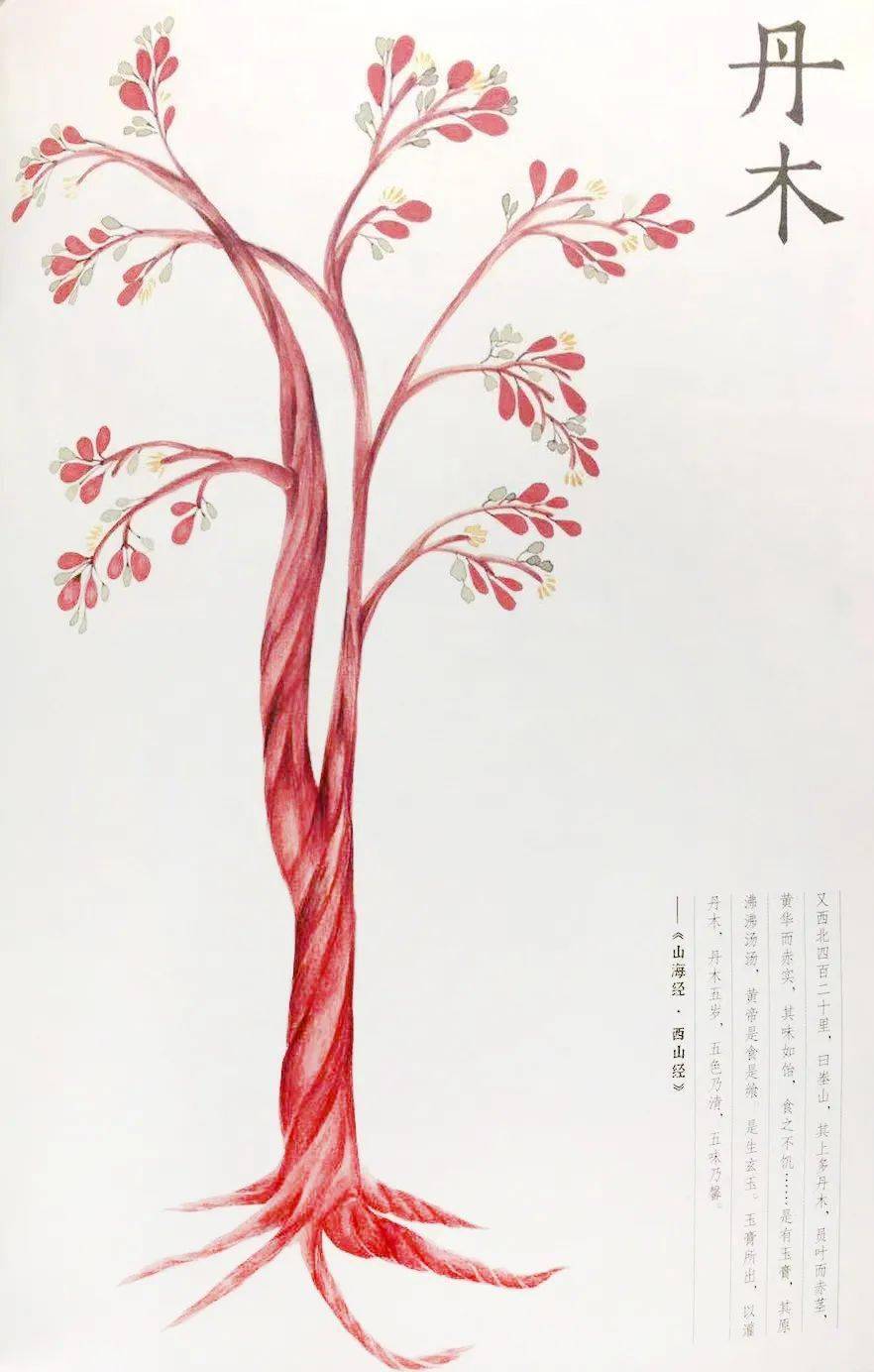 山海经_甘木_沙棠