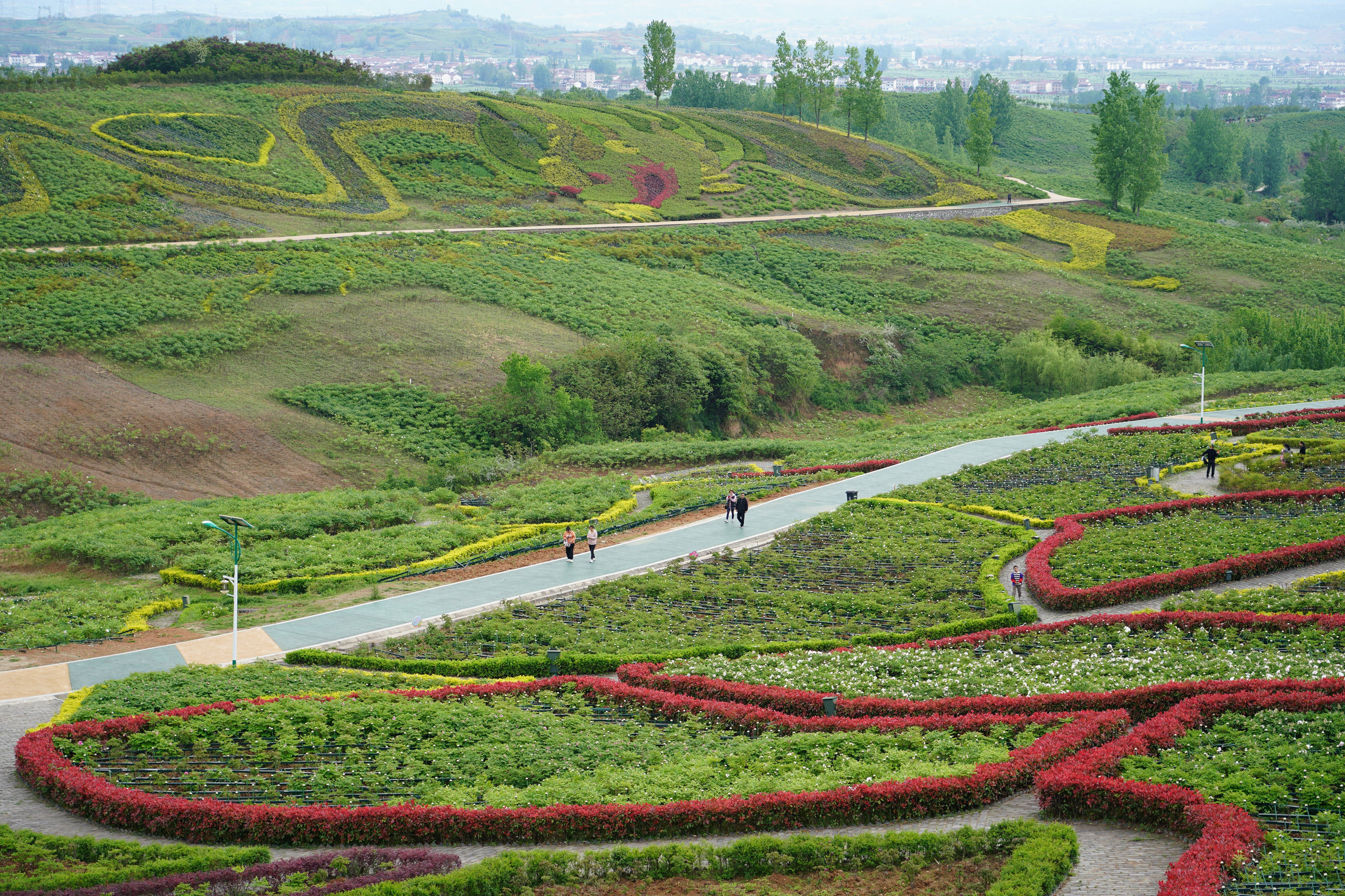 洋县梨园景区路线图片